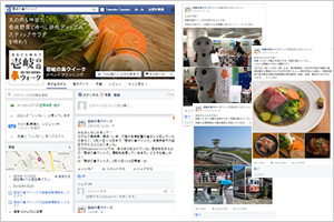 SNS運用代行(Facebook、Twitter)